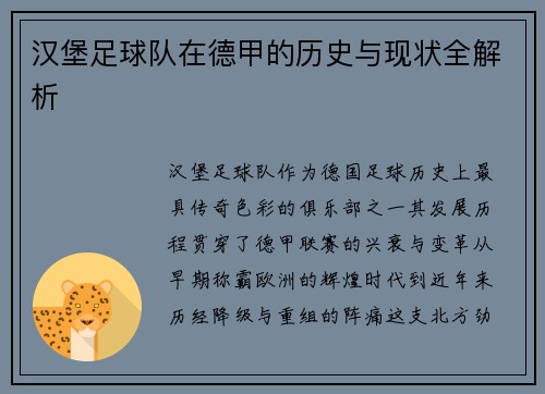 汉堡足球队在德甲的历史与现状全解析